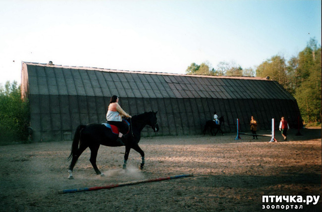 ���� 13: ����� �� ��������