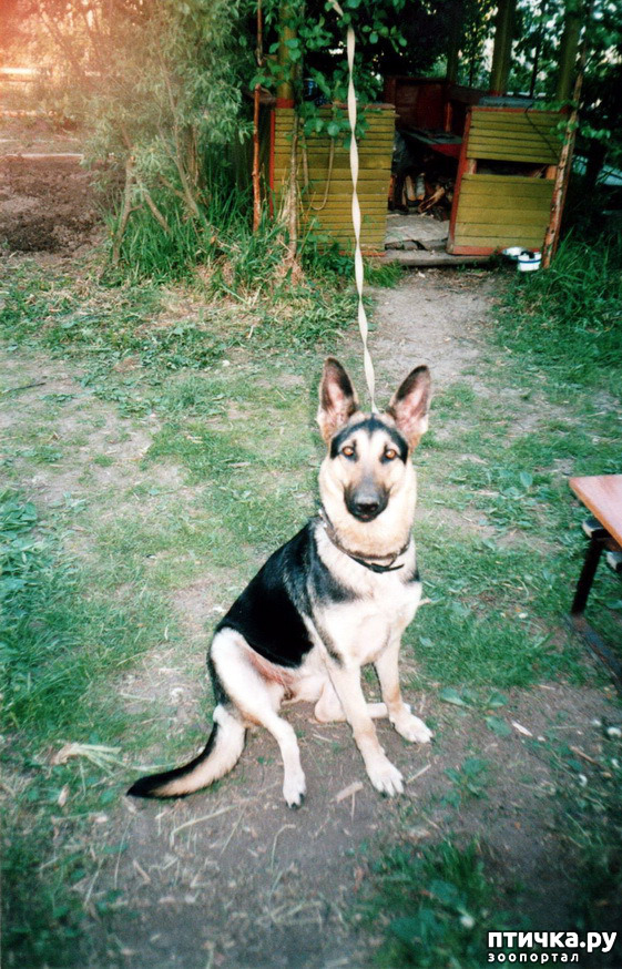 ���� 18: ����� �� ��������