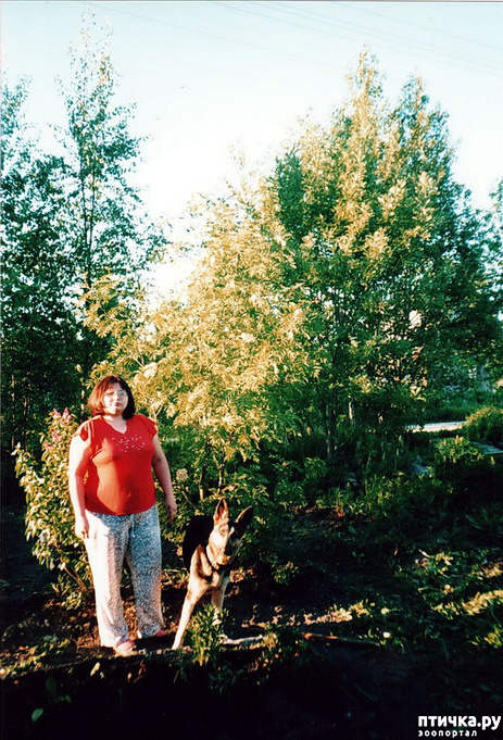 ���� 19: ����� �� ��������