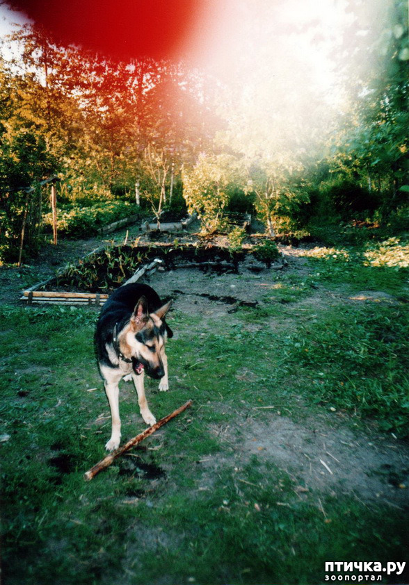 ���� 20: ����� �� ��������