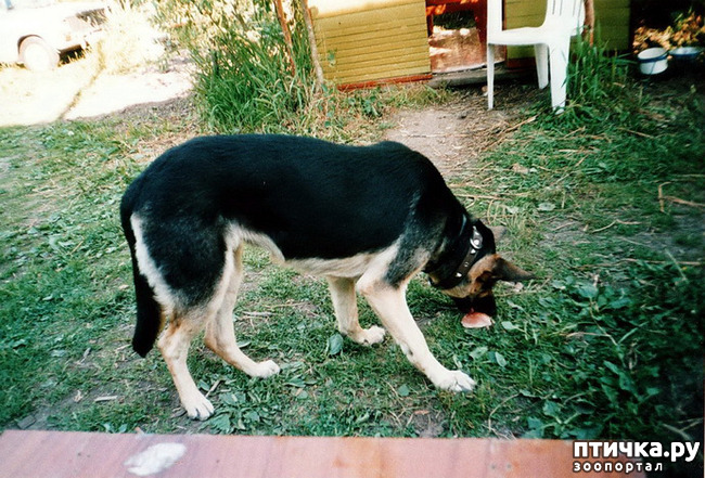 ���� 21: ����� �� ��������