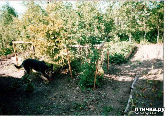 ���� 17: ����� �� ��������