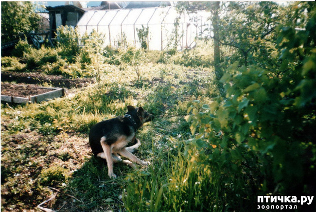 ���� 22: ����� �� ��������