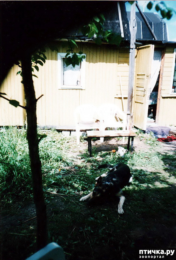 ���� 23: ����� �� ��������