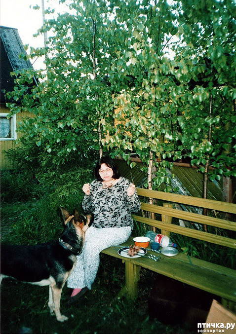 ���� 25: ����� �� ��������