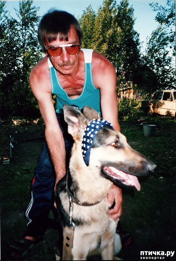 ���� 24: ����� �� ��������