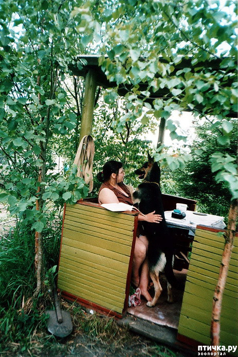 ���� 26: ����� �� ��������