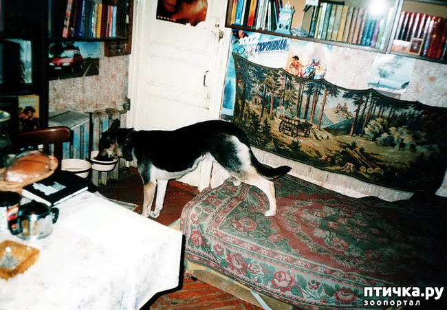 ���� 27: ����� �� ��������