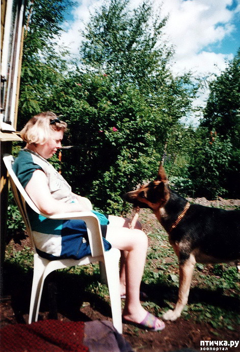 ���� 30: ����� �� ��������