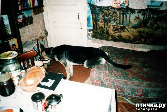 ���� 29: ����� �� ��������