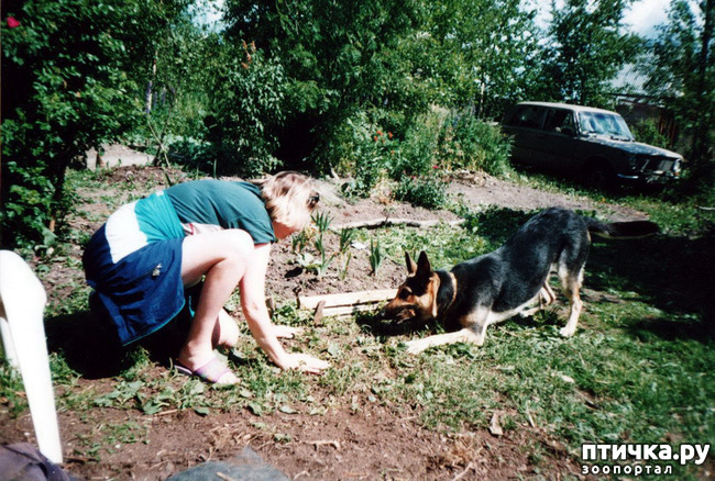 ���� 31: ����� �� ��������