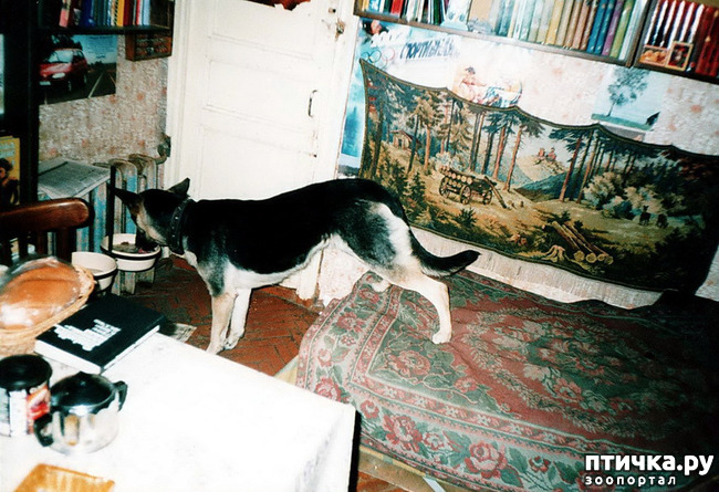 ���� 28: ����� �� ��������