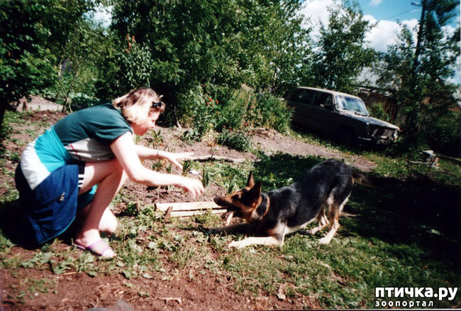 ���� 32: ����� �� ��������