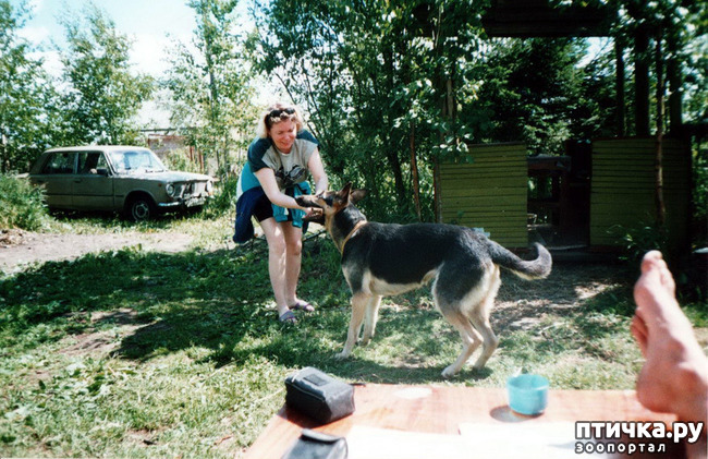 ���� 33: ����� �� ��������