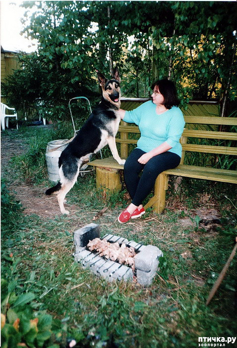 ���� 34: ����� �� ��������