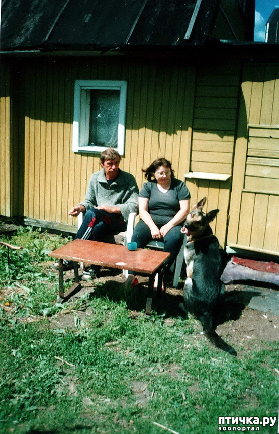 ���� 38: ����� �� ��������