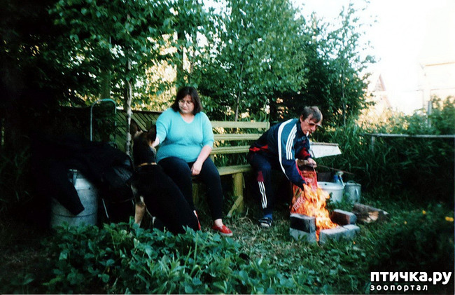 ���� 36: ����� �� ��������