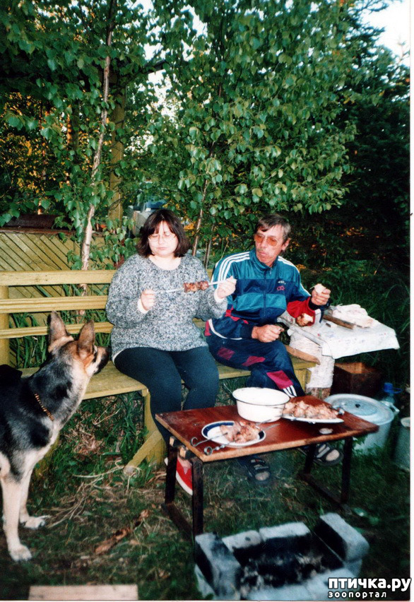 ���� 37: ����� �� ��������