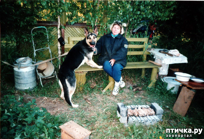 ���� 39: ����� �� ��������