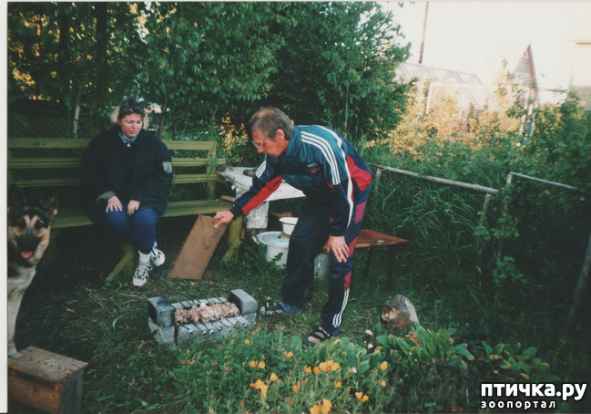 ���� 35: ����� �� ��������