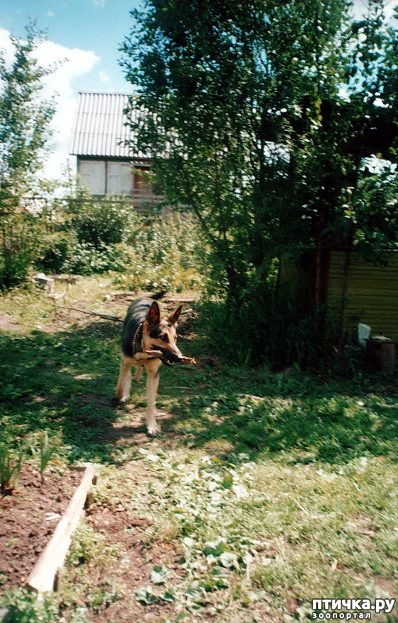 ���� 40: ����� �� ��������