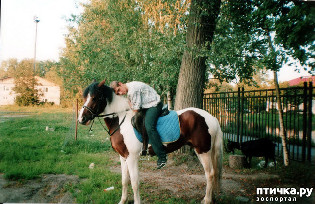 ���� 41: ����� �� ��������