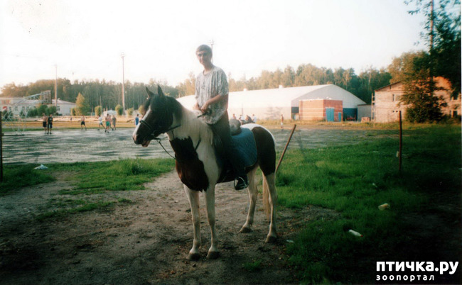 ���� 42: ����� �� ��������