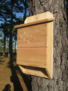 ���� 10: ��� ������� � �������� ������