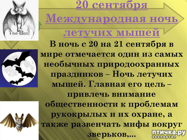 ���� 9: ��� ������� � �������� ������