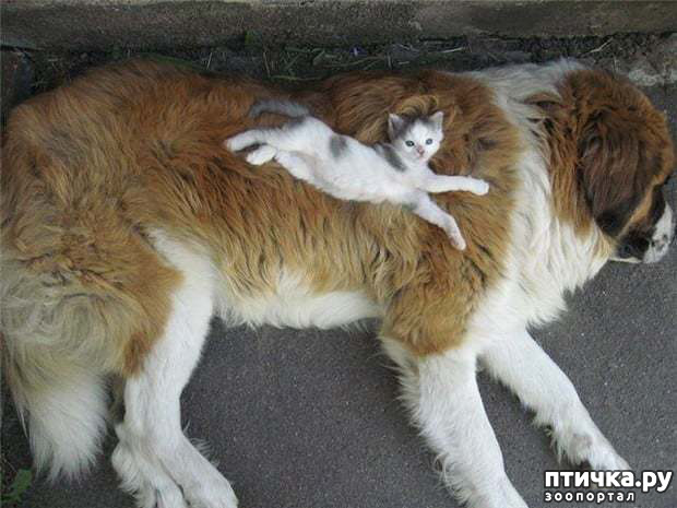 ���� 1: ������