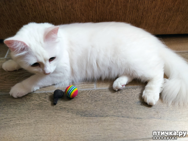 ���� 1: ������� �������