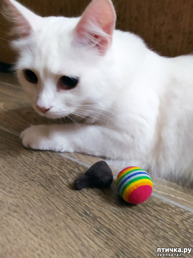 ���� 2: ������� �������