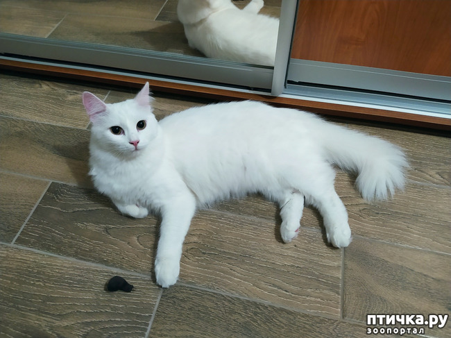 ���� 7: ������� �������