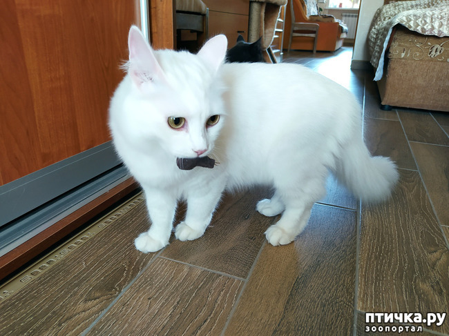 ���� 3: ������� �������