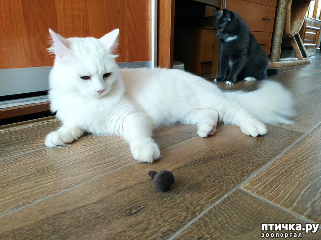 ���� 4: ������� �������