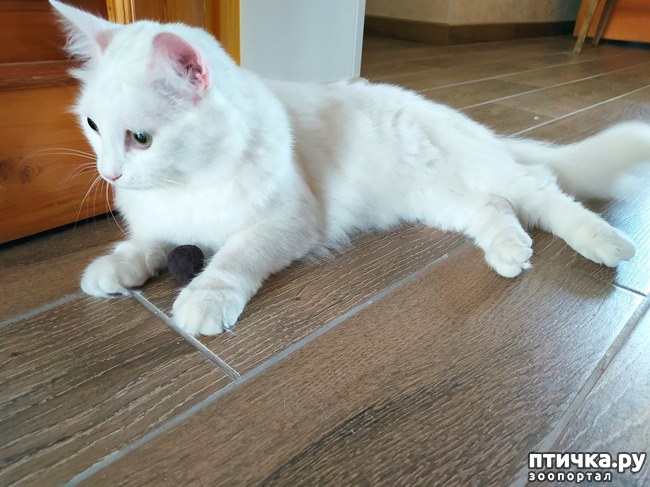 ���� 5: ������� �������