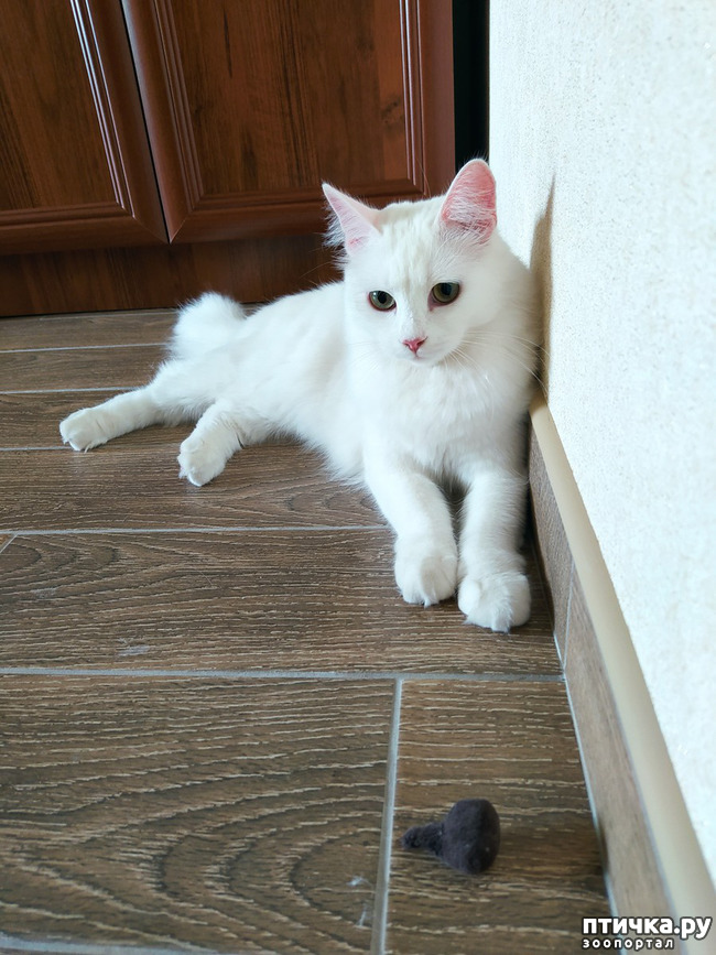 ���� 6: ������� �������