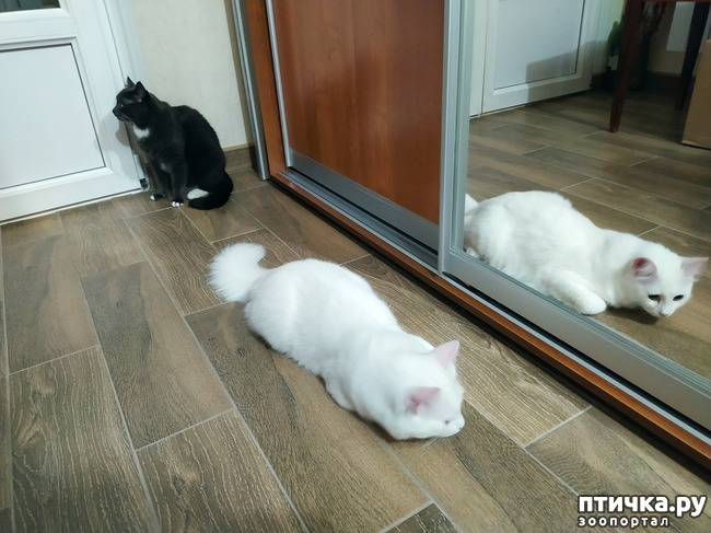 ���� 8: ������� �������