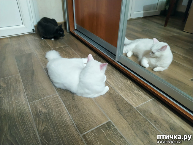 ���� 9: ������� �������