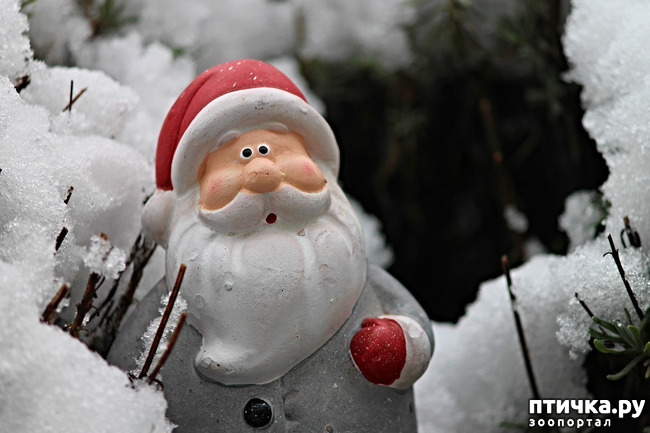 ���� 1: ��������� ���� ������ 2021!