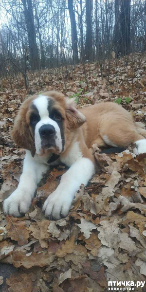 ����: "���� ������ ��! "