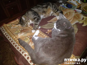 ����: ������� �� �����.