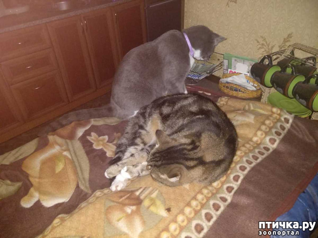 ���� 2: ������� �� �����.