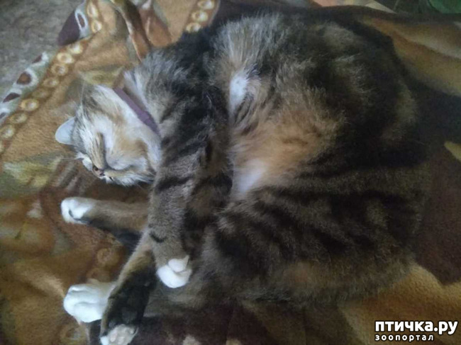 ���� 3: ������� �� �����.