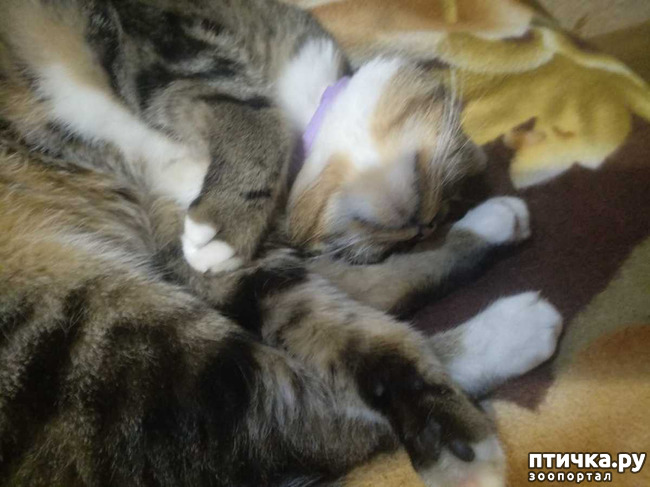 ���� 4: ������� �� �����.