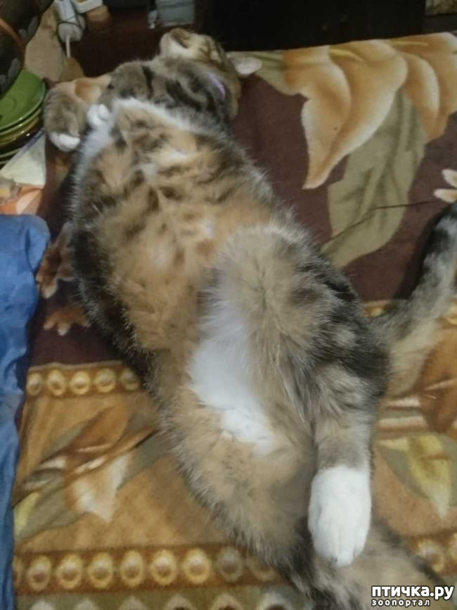 ���� 5: ������� �� �����.