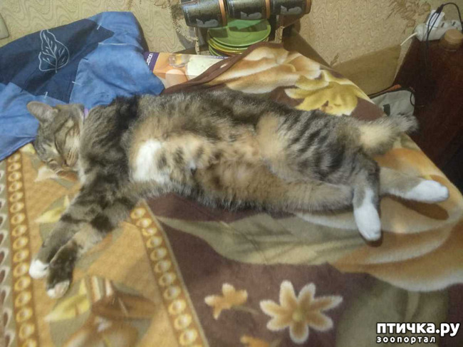 ���� 6: ������� �� �����.