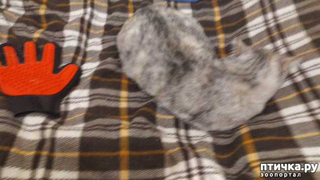 ���� 8: ������� �� �����.