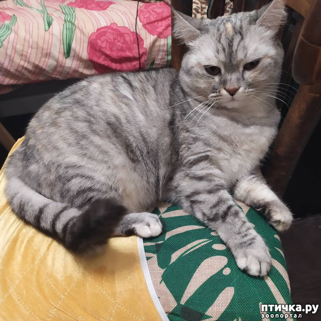 ���� 10: ������� �� �����.