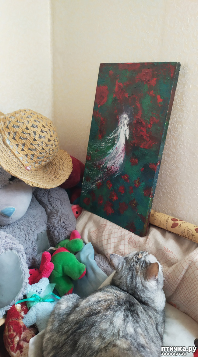 ���� 11: ������� �� �����.